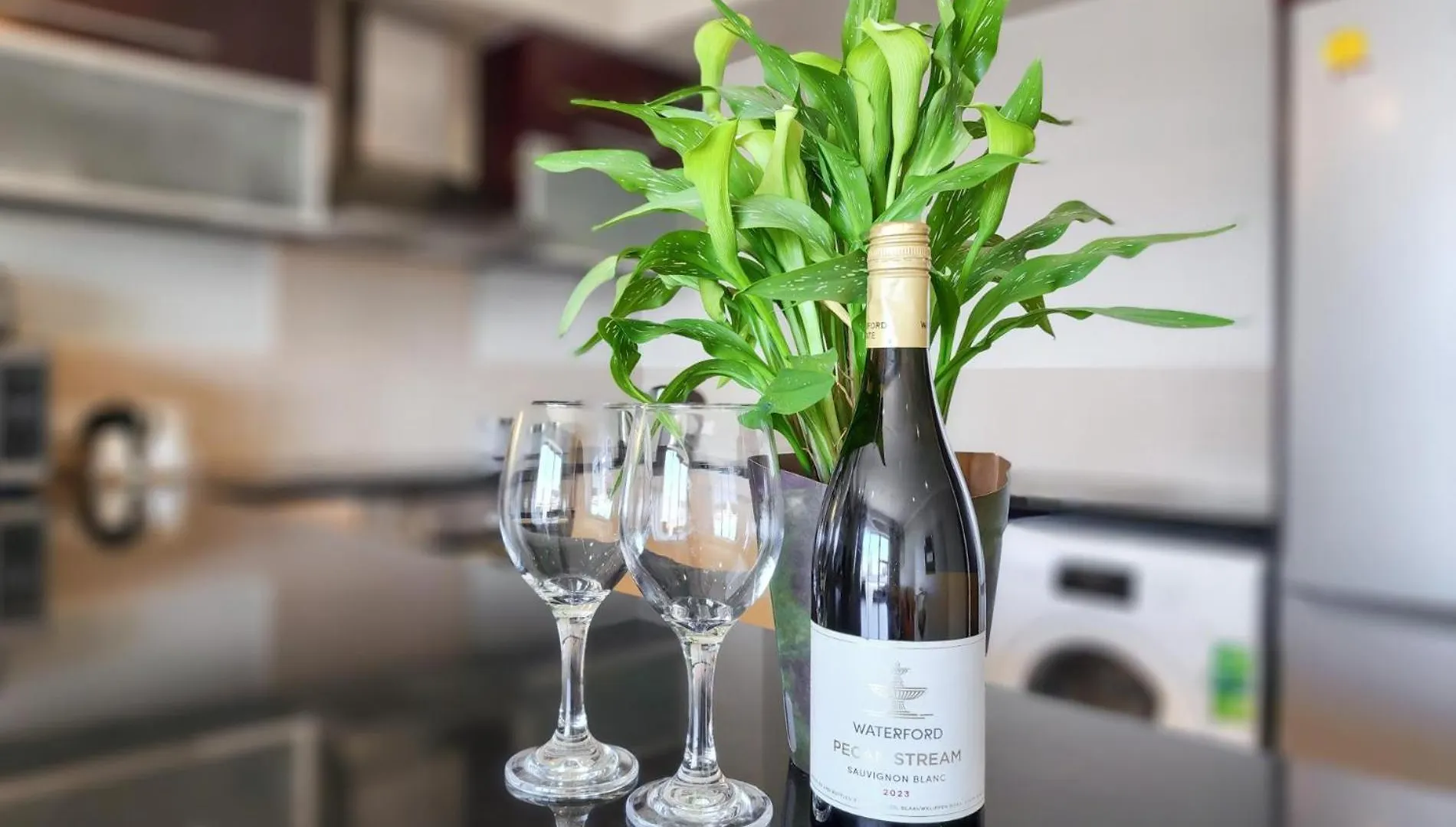 Central Cape Town Stay At The Icon South Africa